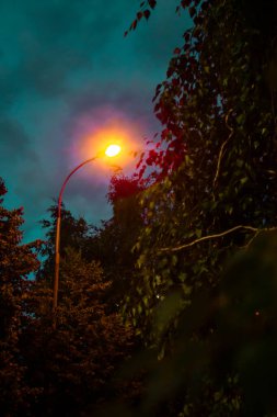 Fotoğraf Gecesi Feneri sanatsal tedavide