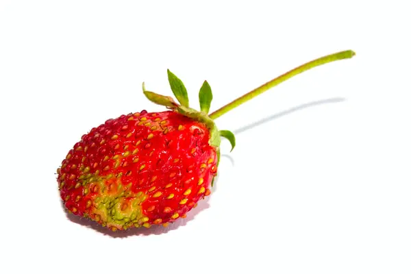 Erdbeere Nahaufnahme Isoliert Auf Weißem Hintergrund — Stockfoto
