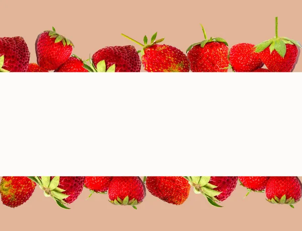 Rahmen Mit Erdbeeren Sommer Und Ernte — Stockfoto