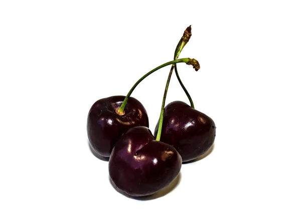 Terisolasi White Close Cherry — Stok Foto
