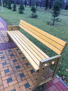 Şehirdeki bir parkta fotoğraf bankı.