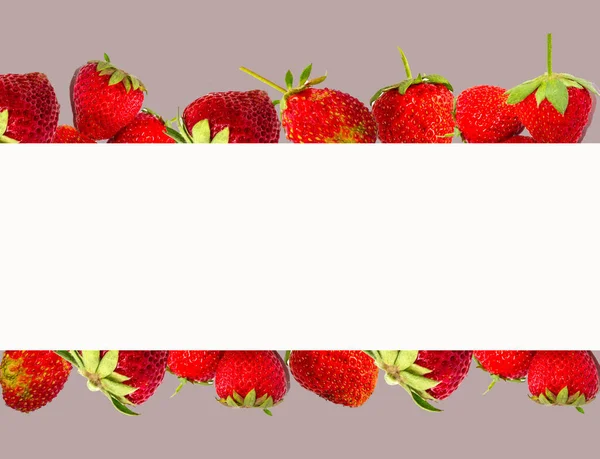 Schöner Rahmen Mit Platz Für Text Mit Erdbeeren — Stockfoto