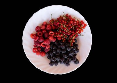 Bir tabak yaban mersini - ahududu, böğürtlen, kırmızı frenk üzümü