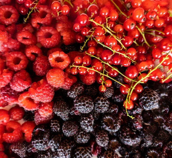 Foto Close Dari Berry Raspberry Blackberry Redcurrants — Stok Foto