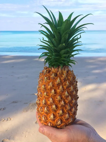 Foto Van Ananas Een Achtergrond Van Zee Het Strand Thailand — Stockfoto