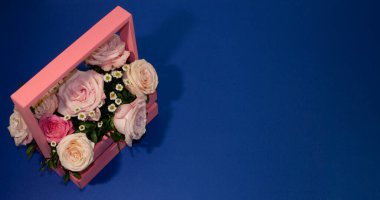 Kartpostal şablonu, kopya spesiyalleri mavi arka planda pembe güller.