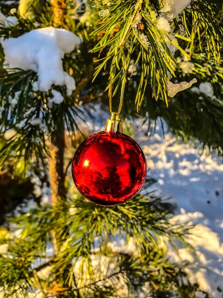 Noel Oyuncakları Noel Ağacındaki Toplar — Stok fotoğraf