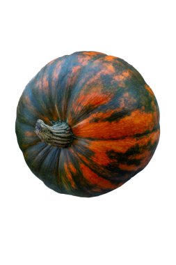 Kabak fotoğrafı, karantina, sonbaharda hasat, Cadılar Bayramı.