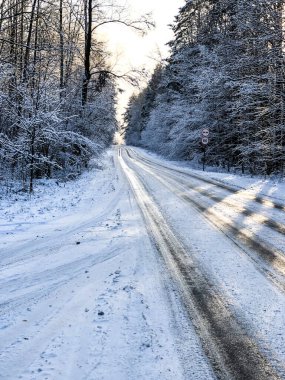 Kışın ormandaki ilk kar, güzel bir arka plan, soğuk hava.