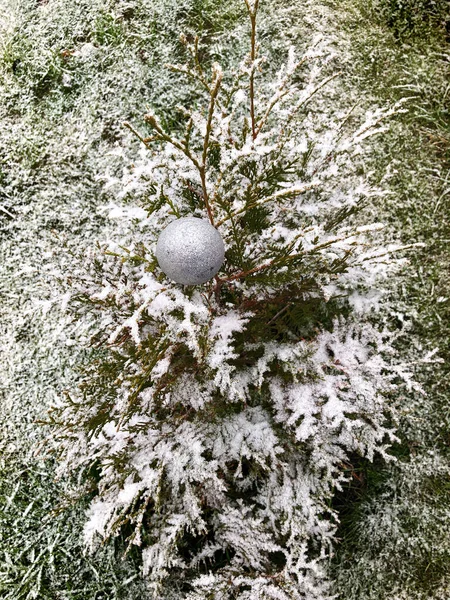 Weihnachtskugel Und Schnee Weihnachtsbaum Winterwald Ein Urlaub Der Natur — Stockfoto