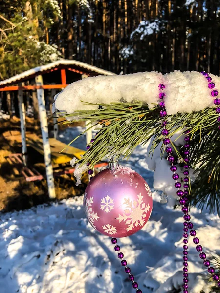 Christmas Ball Snow Christmas Tree Winter Forest Holiday Nature — Stock Photo, Image