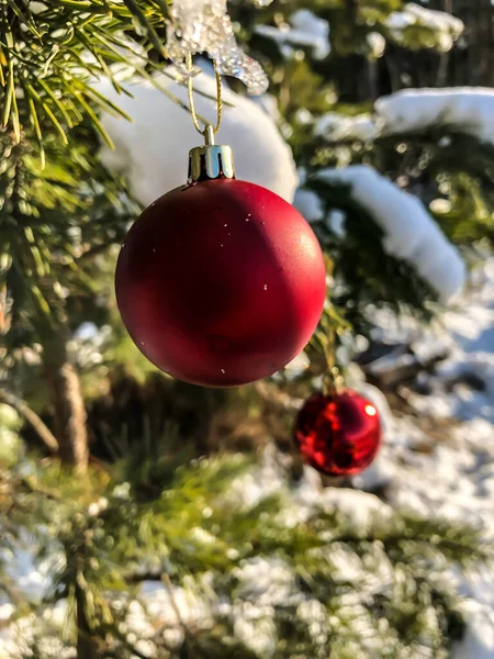 Julboll Och Snö Julgranen Vinterskog Semester Naturen — Stockfoto