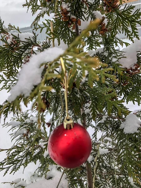 Χριστουγεννιάτικη Μπάλα Και Χιόνι Στο Χριστουγεννιάτικο Δέντρο Χειμερινό Δάσος Διακοπές — Φωτογραφία Αρχείου