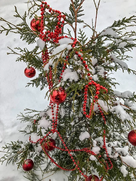 Palla Natale Neve Sull Albero Natale Foresta Invernale Una Vacanza — Foto Stock