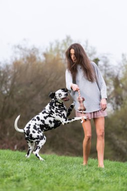 Genç ve güzel kadın Dalmaçya köpeği çayır üzerinde çalış