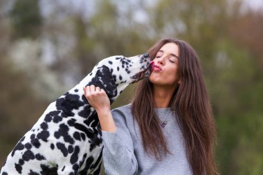 yüz bir Dalmaçyalı köpeğin yaladı bir genç kadın resim