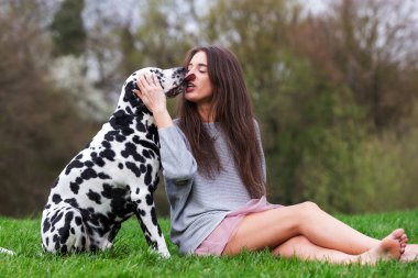 yüz bir Dalmaçyalı köpeğin yaladı bir genç kadın resim
