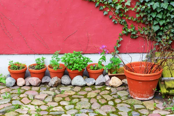 Rangée Pots Fleurs Avec Des Herbes Devant Mur Maison Rouge — Photo