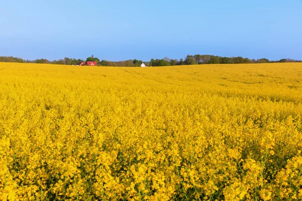 mavi gökyüzü ile tecavüz alanlarının manzara resim