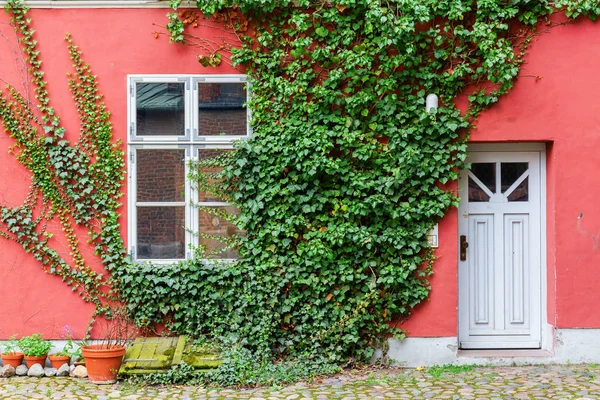 Foto Van Een Klimop Bedekt Huis Met Een Rode Muur — Stockfoto