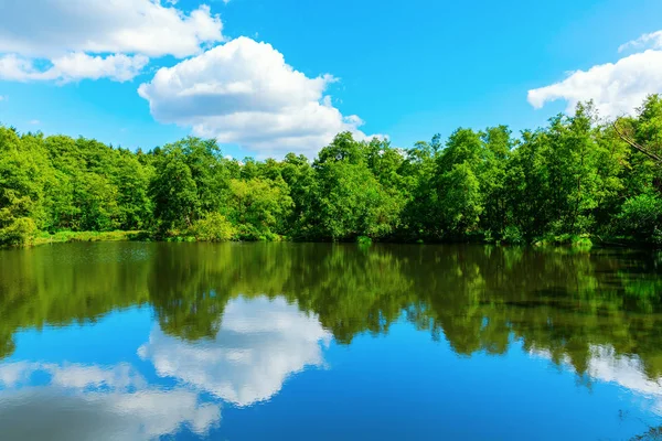 Lago Rodeado Por Árvores Verdes Com Reflexo Céu — Fotografia de Stock