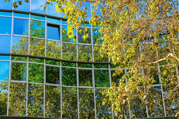 Arbre Couleur Automnale Devant Une Façade Verre Réfléchissant Dans Les — Photo