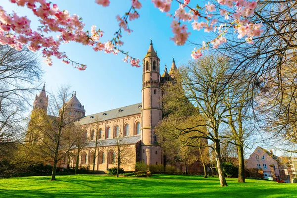 Foto Van Historische Worms Kathedraal Worms Duitsland — Stockfoto