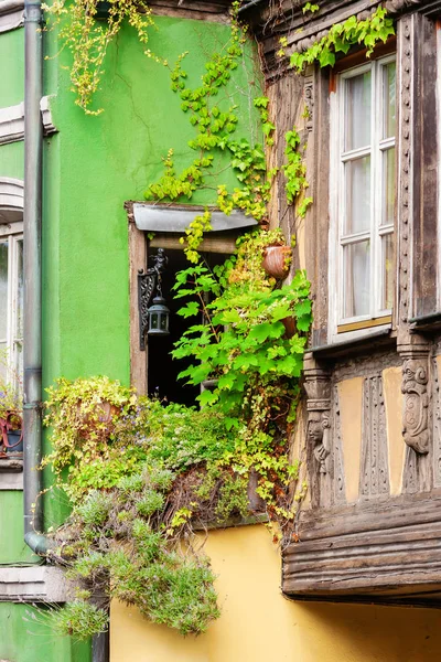 Malerisches Mit Weinreben Verkleidetes Fenster Eines Alten Hauses Straßburg Frankreich — Stockfoto