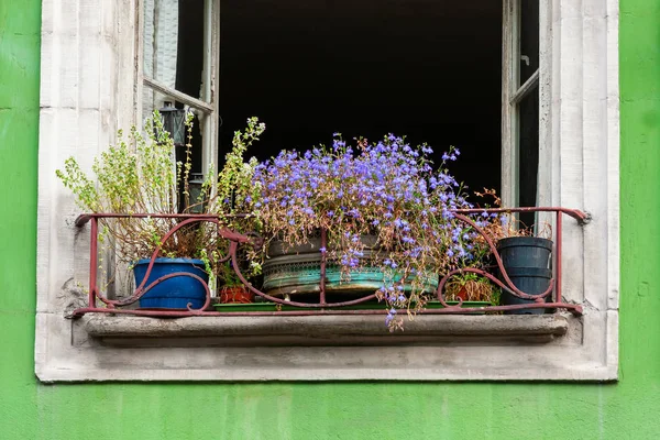 Bild Von Blumentöpfen Die Auf Der Fensterbank Eines Alten Verfallenen — Stockfoto