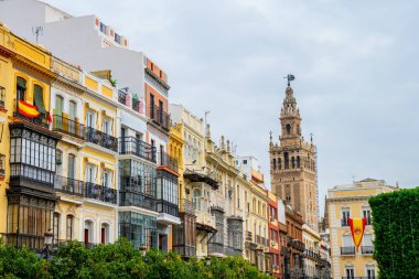 Plaza de San Francisco Seville, İspanya boyunca tarihi binalar resmini