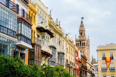 Plaza de San Francisco Seville, İspanya boyunca tarihi binalar resmini