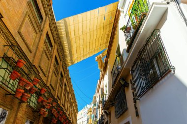 Sevilla, İspanya'nın eski şehir pitoresk sokak