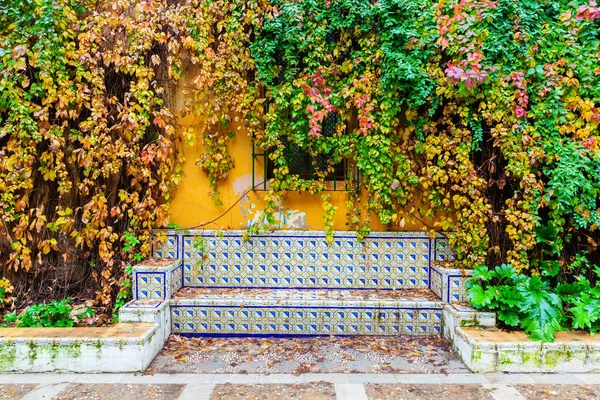 Picturesque Picture Bench Traditional Tiles Front Vine Clad Wall — Stock Photo, Image