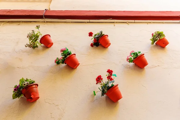 Decoração Parede Decorativa Com Vasos Flores Sevilha Espanha — Fotografia de Stock