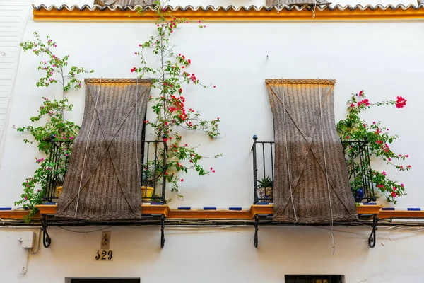 Fenêtres Pittoresques Dans Une Maison Typiquement Andalouse Séville Espagne — Photo