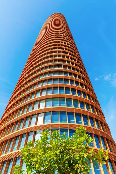 セビリア スペイン 2018 オフィス超高層ビル セビリア タワーは 180 メートルの高さとアンダルシアの高層ビルです — ストック写真