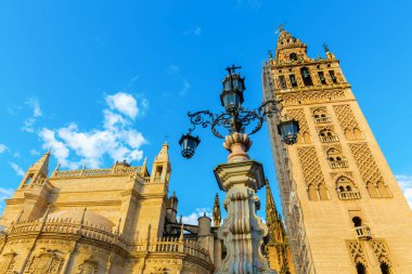 Sevilla Katedrali Plaza del Triunfo Seville, İspanya'dan bir görünüm resmini