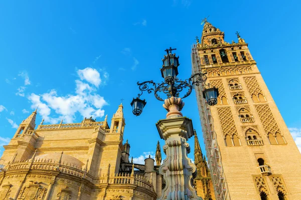 Afbeelding Van Een Weergave Kathedraal Van Sevilla Van Plaza Del — Stockfoto
