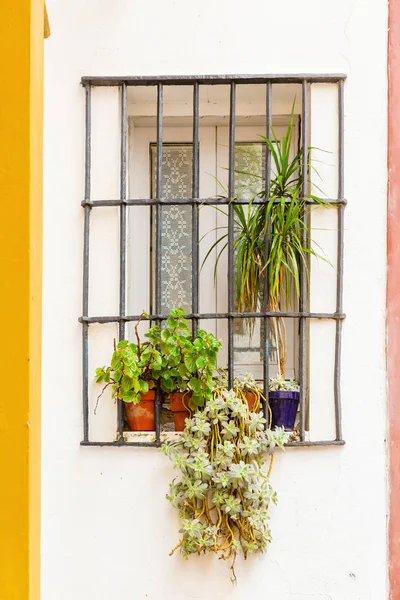 picture of a window of an old house in Seville, Spain