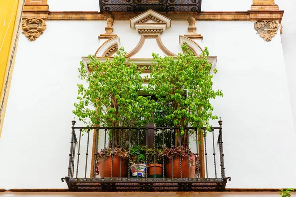 Picture Window Old House Seville Spain — Stock Photo, Image