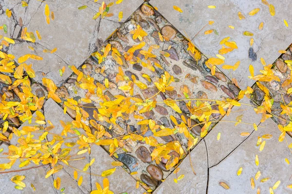 Textura Fundo Pedras Pavimentação Molhadas Com Folhas Outono — Fotografia de Stock