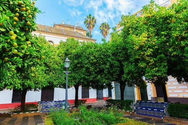 Kleiner Platz Viertel Santa Cruz Von Seville Spanien — Stockfoto