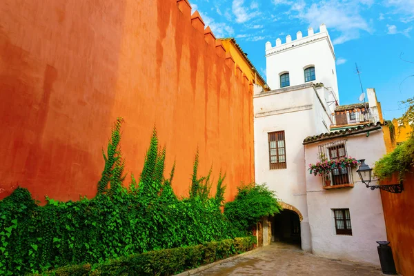 Mur Extérieur Alcazar Dans Quartier Santa Cruz Séville Espagne — Photo