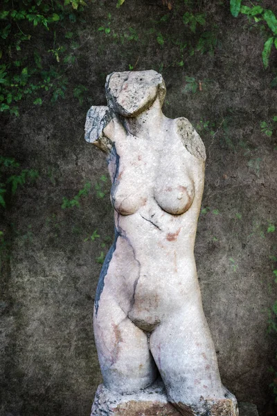 picture of an antique torso bust, altered with grunge texture