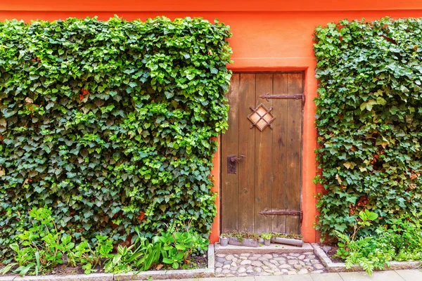 Imagen Una Puerta Madera Una Casa Cubierta Hiedra Pintada Rojo — Foto de Stock