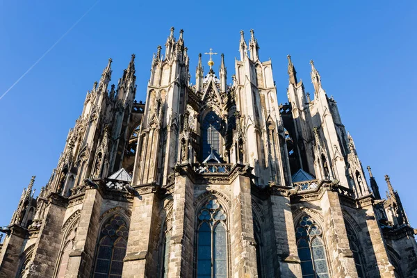 Köln Almanya Köln Katedrali Arka Resmini — Stok fotoğraf