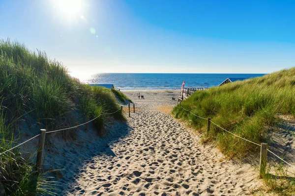 Acceso a la playa en las dunas de Texel, Países Bajos —  Fotos de Stock