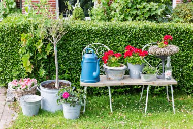 saksı çiçekleri ve bir sulama olabilir ile bahçe hala hayat
