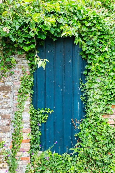 Вирощені дерев'яні двері в старій цегляній стіні — стокове фото