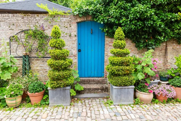 Tegelvägg med en blå dörr och krukväxter framme i Veere, Nederländerna — Stockfoto